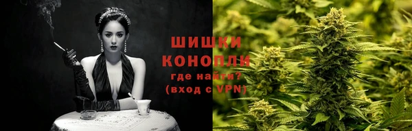 сатива Чекалин