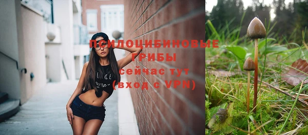 apvp Пересвет