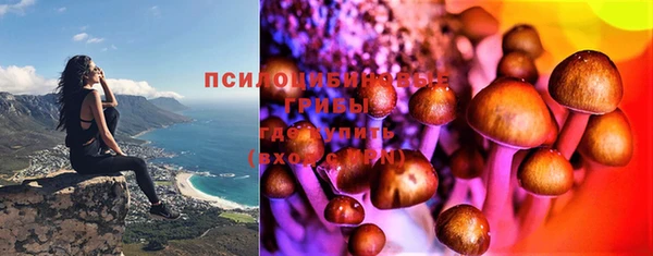 синтетический гашиш Медногорск