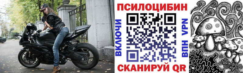 Галлюциногенные грибы прущие грибы Тутаев