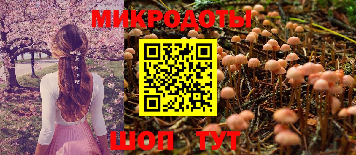 Галлюциногенные грибы прущие грибы  Псилоцибиновые грибы Magic Shrooms  Тутаев  Вход с VPN 